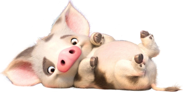 Pua/Porquinho
